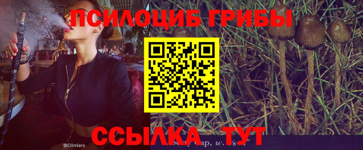 Галлюциногенные грибы Magic Shrooms  Псилоцибиновые грибы Psilocybe  закладки  Вход с VPN  Димитровград 