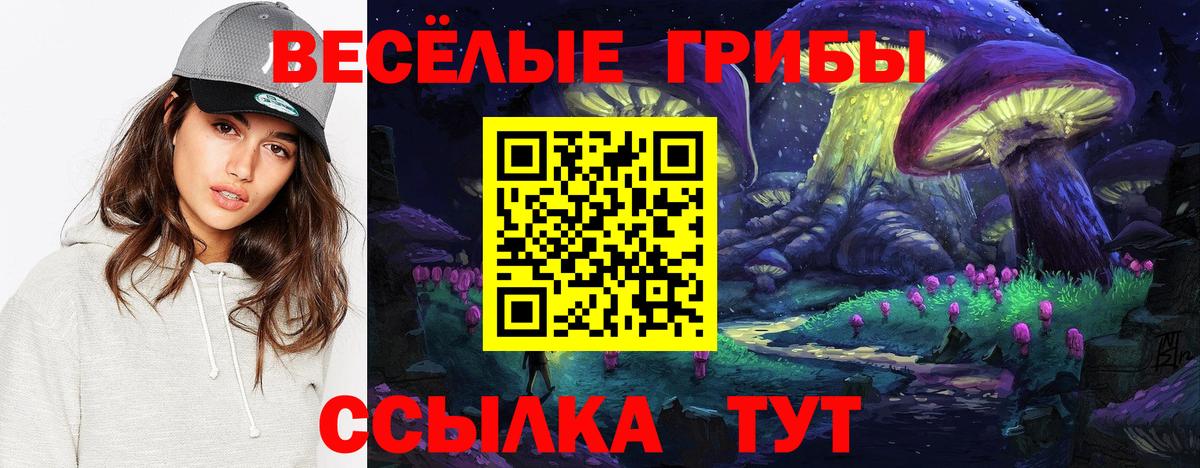 Галлюциногенные грибы Magic Shrooms Димитровград